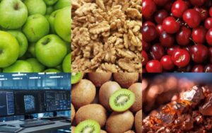 infcom-enero-compressed