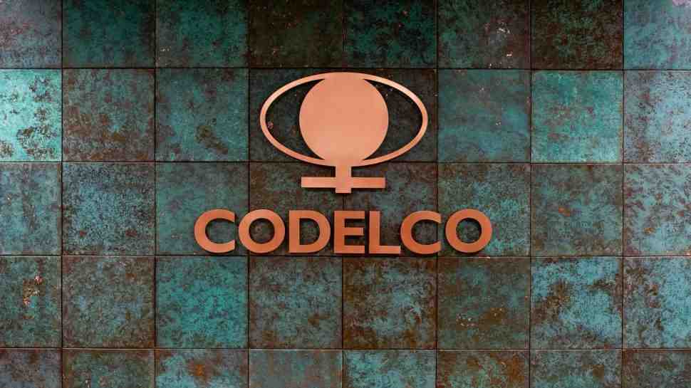 WhatsApp_Image_2026-08-04_at_13-compressed